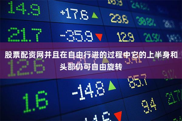股票配资网并且在自由行进的过程中它的上半身和头部仍可自由旋转
