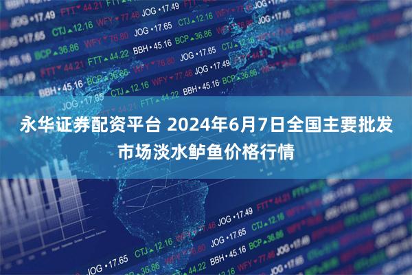 永华证券配资平台 2024年6月7日全国主要批发市场淡水鲈鱼价格行情