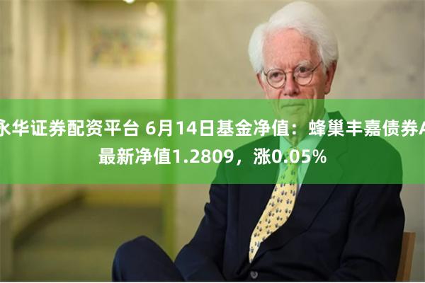 永华证券配资平台 6月14日基金净值：蜂巢丰嘉债券A最新净值1.2809，涨0.05%