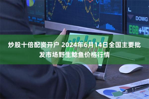 炒股十倍配资开户 2024年6月14日全国主要批发市场野生鲶鱼价格行情