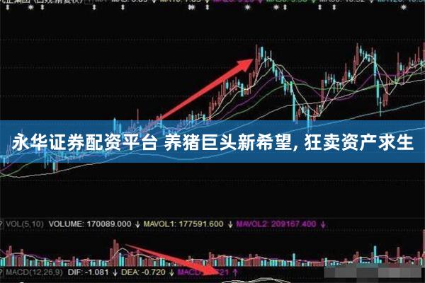 永华证券配资平台 养猪巨头新希望, 狂卖资产求生
