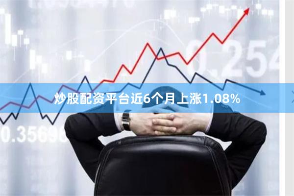 炒股配资平台近6个月上涨1.08%